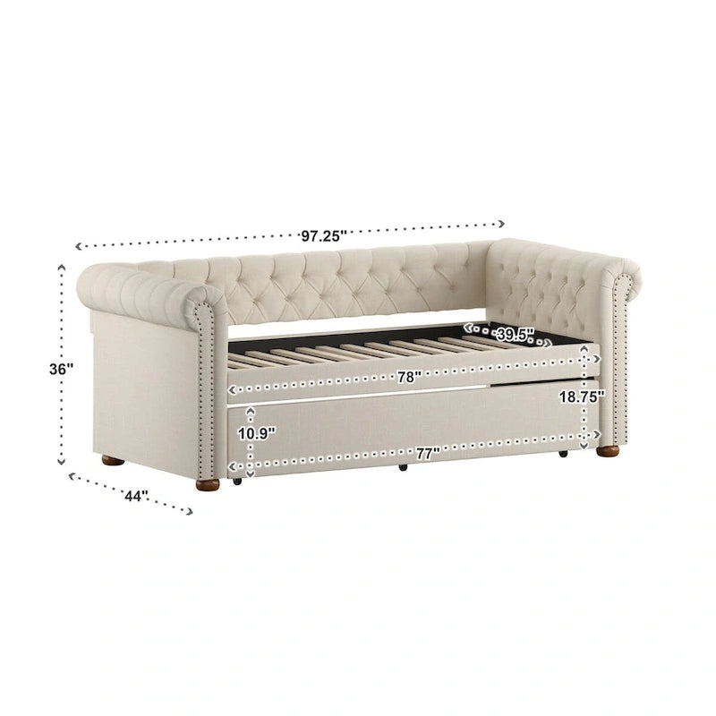 Divano letto Chesterfield in velluto trapuntato con braccioli a voluta, dettagli a bottone e gambe in legno massello